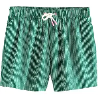 Next Shorts de bain vert foncé / blanc
