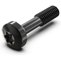 Schroff SCREW TORX COL.M2.5X12.3 100X - Rack-Zubehör (21101783)