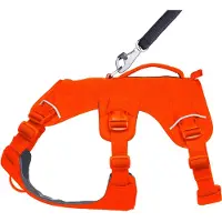 Ruffwear harnais pour chiens Web Master Blaze Orange, taille : XXS