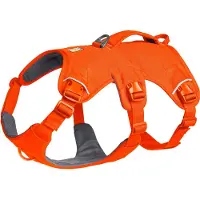 Ruffwear harnais pour chiens Web Master Blaze Orange, taille : L/XL