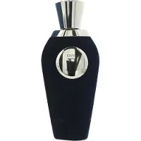 Van Canto Spray Ensis Eau de Parfum