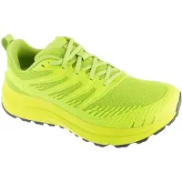 inov-8 Chaussure de course 'TrailFly Max V2' vert