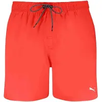 Puma Short De Bain 100000031