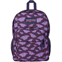 JanSport Big Day 34l Backpack Violet
