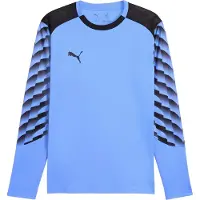 Puma Hommes, T-shirt de sport, teamLIGA26 GK Jersey LS (S), Bleu, Noir, S