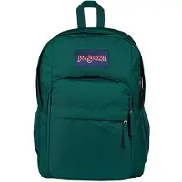 JanSport Big Day Pack 34l Backpack Vert