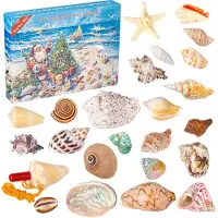 Nikcorp Calendrier de l'Avent : jouets pour enfants de 3 à 12 ans, motif coquillage, 24 pièces