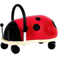 Wheely bug Coccinelle