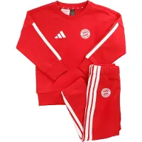 Adidas Survêtement 'FC Bayern München DNA' rouge / blanc