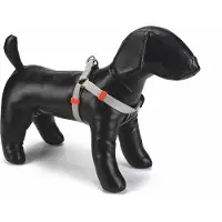 Beeztees BZ NY GESCH UNI GRIS CLAIR 26-40 (Chien, Général)