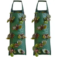 INF 8 sacs de culture de fraises suspendus