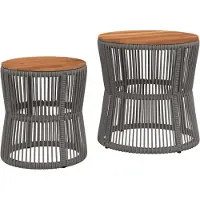 vidaXL Tables d'appoint de jardin 2 pcs. avec plateau en bois Gris Poly Rattan