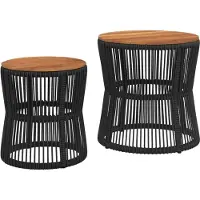 vidaXL Tables d'appoint de jardin 2 pcs. avec plateau en bois noir Poly rotin