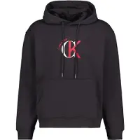 Calvin Klein Jeans Eu 350 Terry Graphic Hoodie Noir L Homme