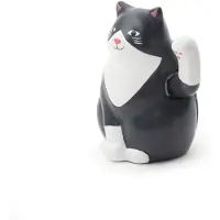 Kikkerland Solar Cat