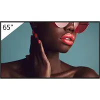 Sony FW-65BZ40L Écran d'affichage numérique Écran plat d'affichage numérique 165,1 cm (65") LCD Wi-Fi 700 cd/m² 4K Ultra HD Noir Android 24/7