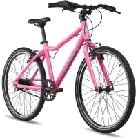 ACADEMY 24"