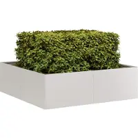 Prolenta Maison Exclusive - Jardinière 100x100x30 cm, en acier inoxydable