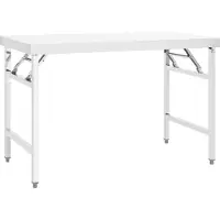 Syfax Table de travail pliable de cuisine 120x60x80 cm Inox