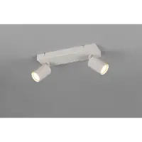 TRIO Plafonnier, métal, gris, 2 flammes, orientable, L 30 cm