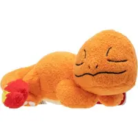 Jazwares Glumanda endormi Pokémon 12 cm