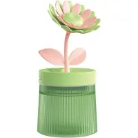 Typecat Humidificateur portable USB pour aromathérapie, brumisateur d'air pour fleurs