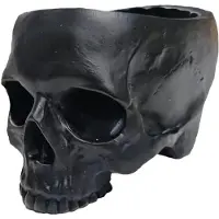 Typecat Décoration de jardin extérieur Halloween Crâne Pot de fleurs Gothique Maison Noir