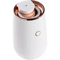 Typecat Diffuseur d'huiles essentielles sans eau pour aromathérapie, portable, pour bureau