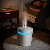 Typecat Humidificateur 5L avec veilleuse colorée, purification de l'air USB, hydratant