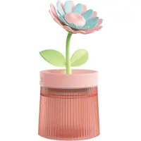 Typecat Humidificateur portable USB pour aromathérapie, brumisateur d'air pour fleurs