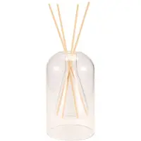 Wella Conteneurs de Stockage Bouteilles de Diffuseur Bouteille de Diffuseur D'AromathéRapie Bouteille de Verre de Diffuseur Moderne Organisateurs D'Huiles