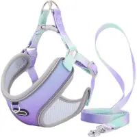 Typecat Ensemble harnais et laisse anti-évasion pour chat, harnais réglable en maille pour chien Ves