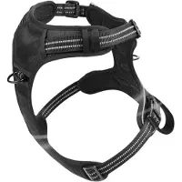 Melitt Harnais Combiné pour Petit Chien, Anti-Traction, Réfléchissant, Idéal pour les Promenades en Extérieur (Taille M)