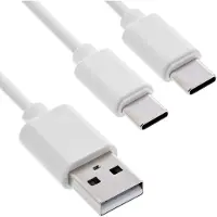 InLine Câble de charge USB 2en1 en Y, 1x USB-A mâle à 2x USB-C mâle, blanc, 1m