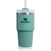Stanley Quencher H2.O FlowState Tumbler gobelet en acier inoxydable avec paille petit format Spring Green 1 pcs