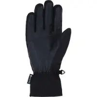 Viking Revo Gore-tex Gloves Noir 10 Homme
