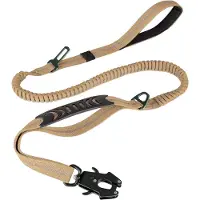 Typecat Laisse pour chien robuste, 4 à 6 pieds, élastique absorbant les chocs + 2 poignées rembourrées