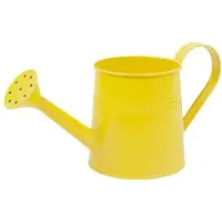 OEM Arrosoir métallique long, d'une contenance d'un litre, idéal pour l'intérieur et l'extérieur