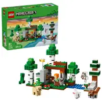 LEGO 21593 L’aventure de la première nuit