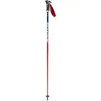 Swix Bâtons World Cup Pro Sl Carbon