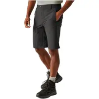 Regatta Highton Ii Shorts Gris 38 Homme