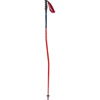 Swix Bâtons World Cup Pro Super-g