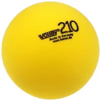 Volley Volleyball
