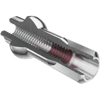 Dt Swiss , écrous de rayon Squorx Pro Head, aluminium, argenté, 15 mm - précis, facile à installer...