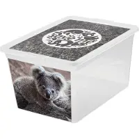 BranQ Boîte de rangement Panier Boîte en plastique avec couvercle