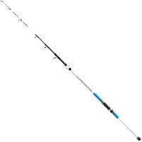 Mitchell Suprema 2.0 Canne télescopique pour pêche au fond 250 g 2,40 m