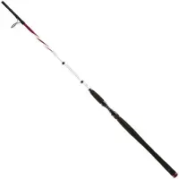 Penn Squadron II 242 SW 50-150 g 2,40 m