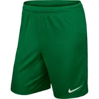 Nike Park II Knit short sans slip intérieur vert L