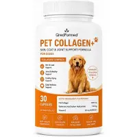 ZIMETER PET COLLAGEN+ - Soin de la peau, du pelage et des articulations pour chiens - 30 gélules