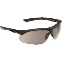 SWISSEYE Lancer Smoke Glasses Clair